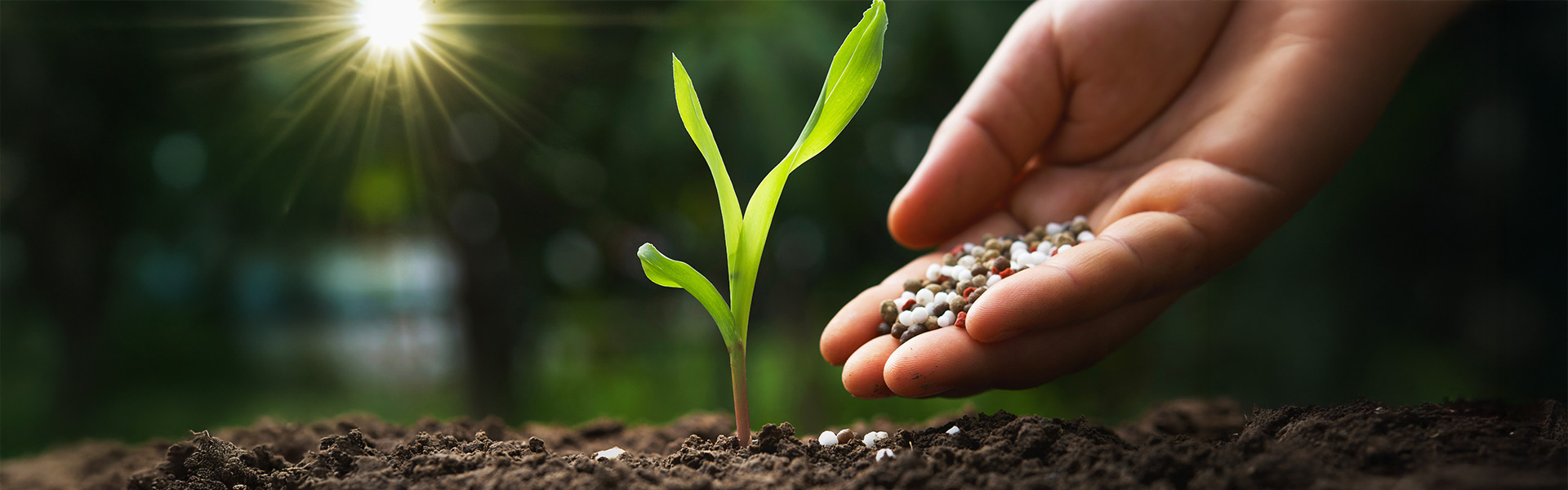 Agri Inputs