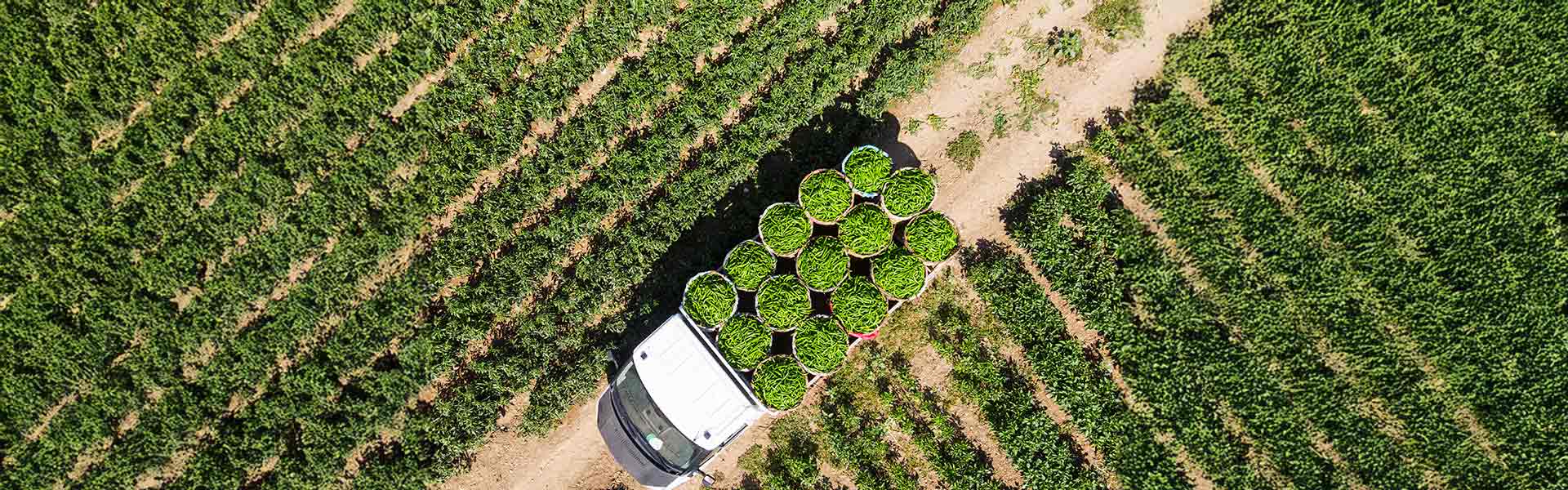 Agri Logistics