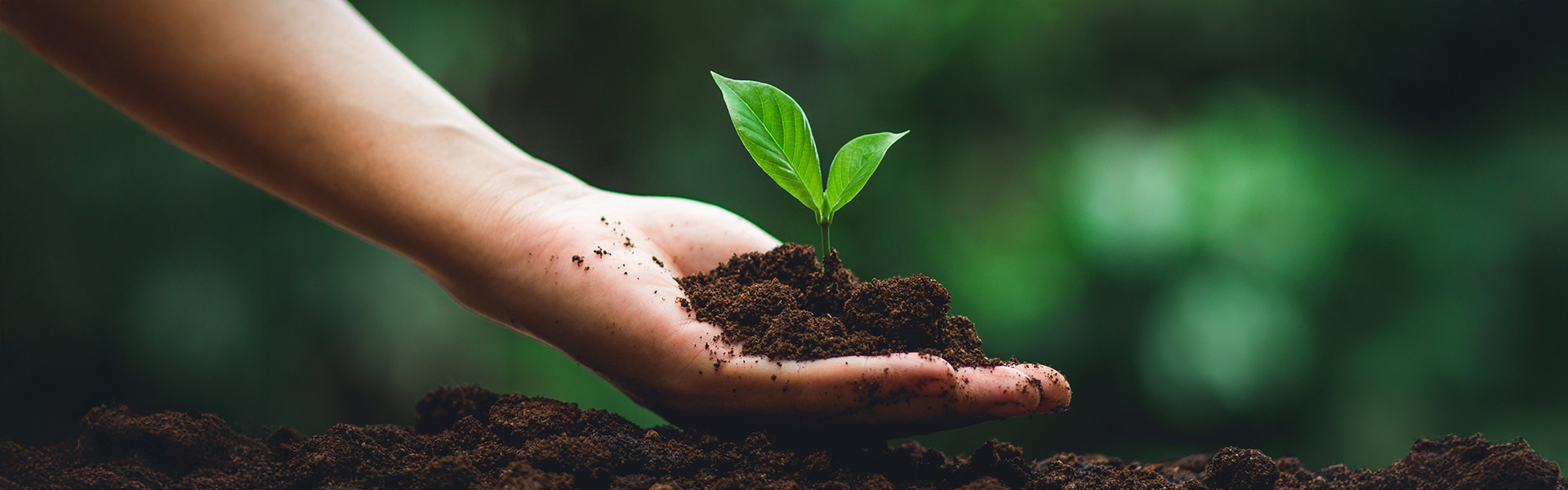 Crop Care & Fertilizer Trials