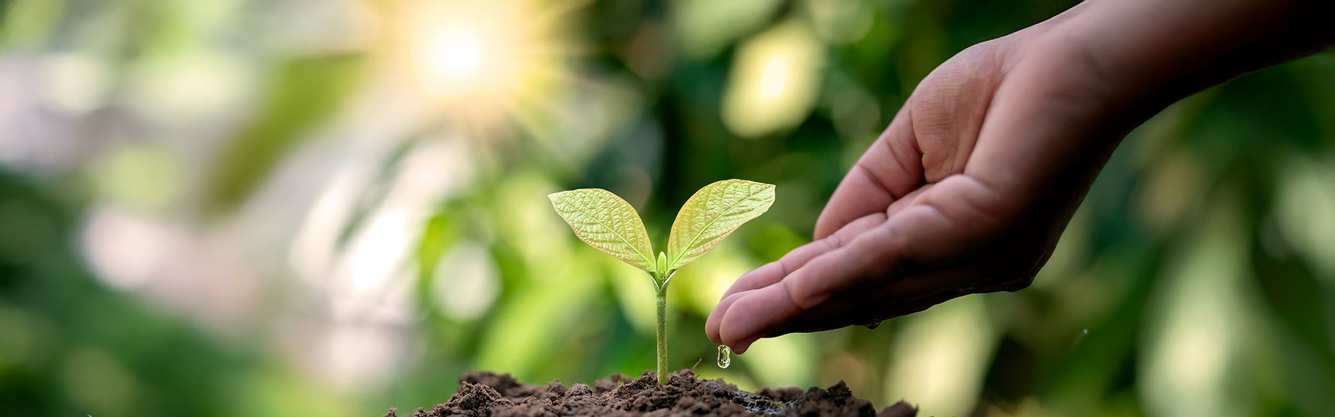 Crop protection