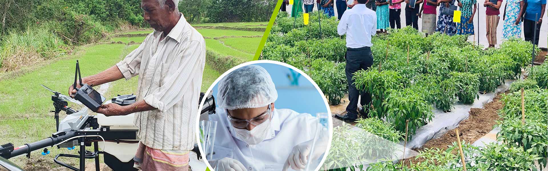 DIMO Agribusinesses Elevates Farmers into Agripreneurs