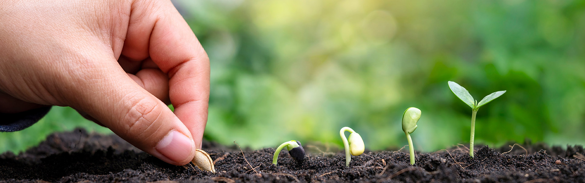 Seed & Speciality products