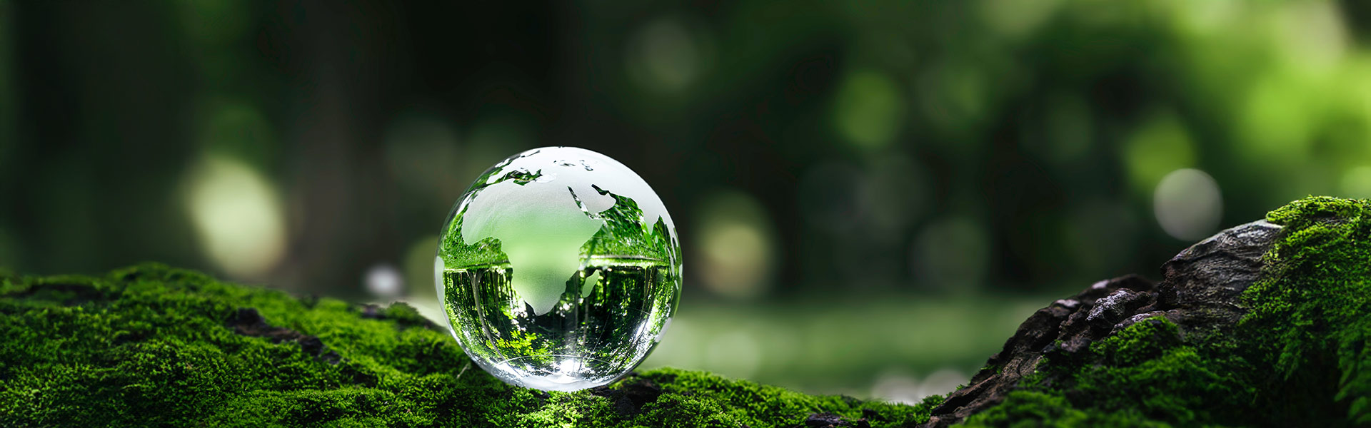 Sustainability
