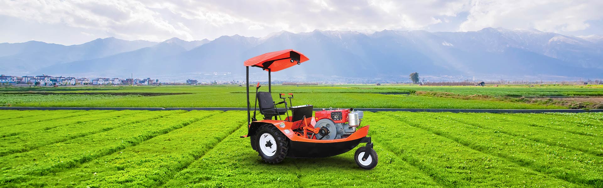 Bison Boat Tractor