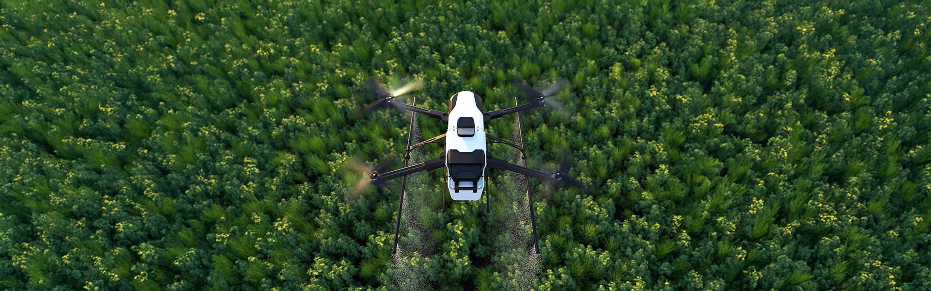 Drone Services