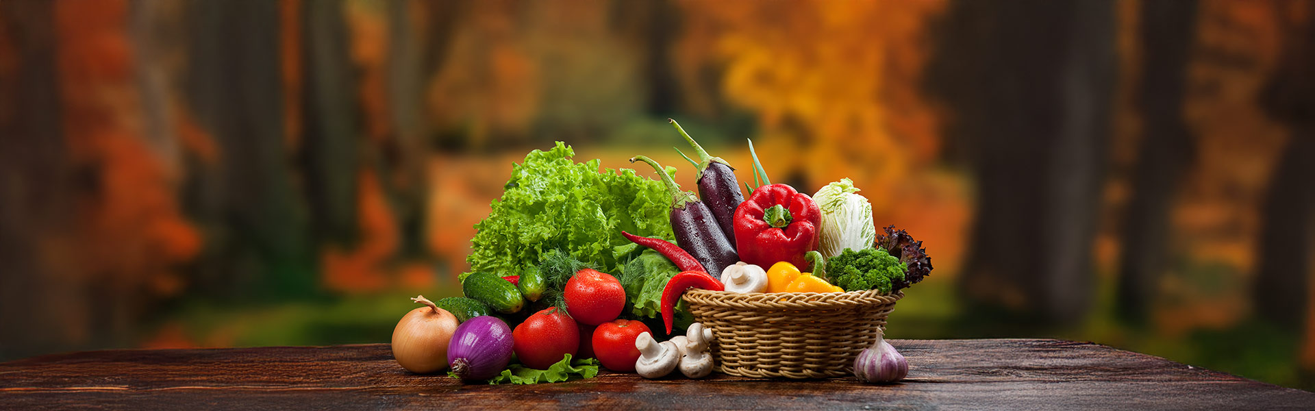 Vegetable Seeds